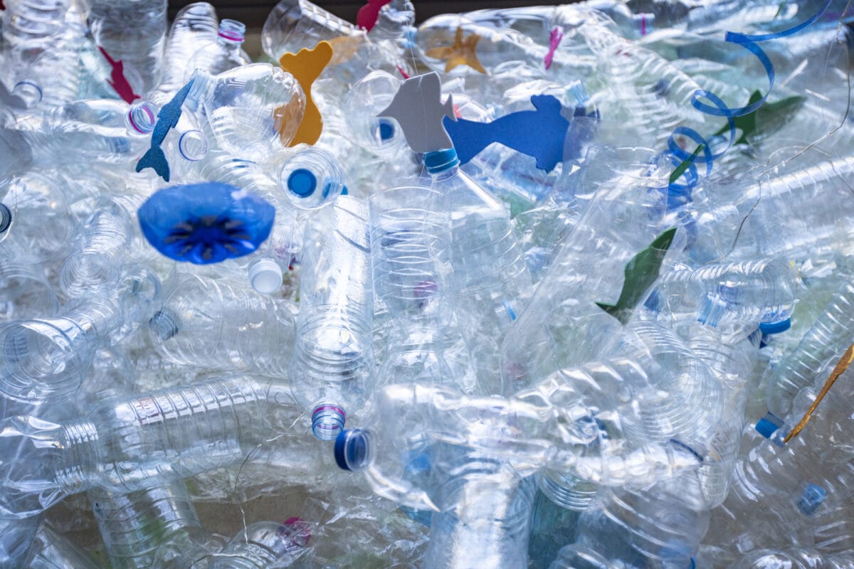 Viele unnötige Plastikwasserflaschen in auf einem grossen Holztisch gesammelt
